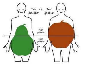 viscerálny tuk muž a žena, typ hruška a typ jablko